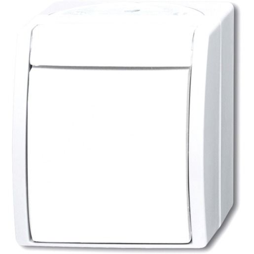 Busch-Jaeger AP WECHSELSCH / BUSCH 2601/6 W-54 2CKA001085A1628