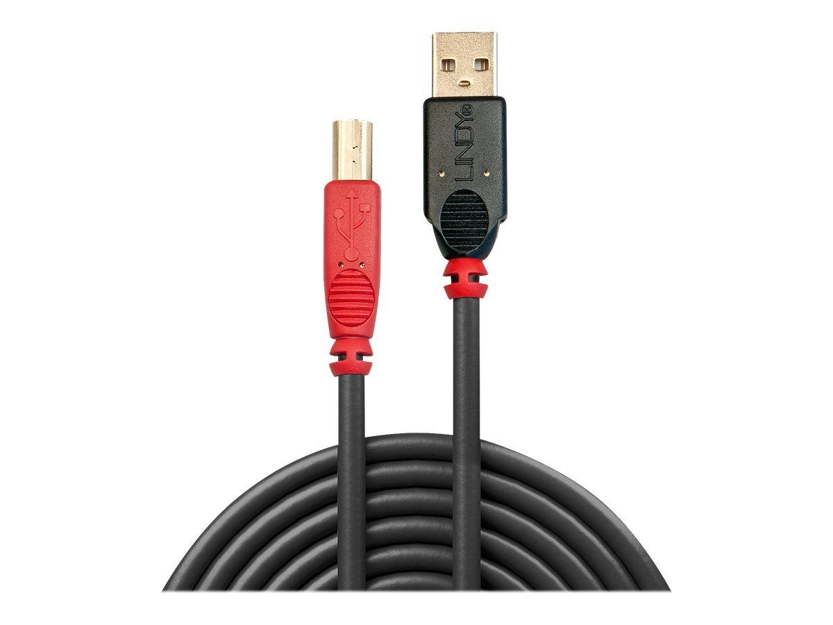 Lindy USB-Kabel - USB (M) zu USB Typ B (M)