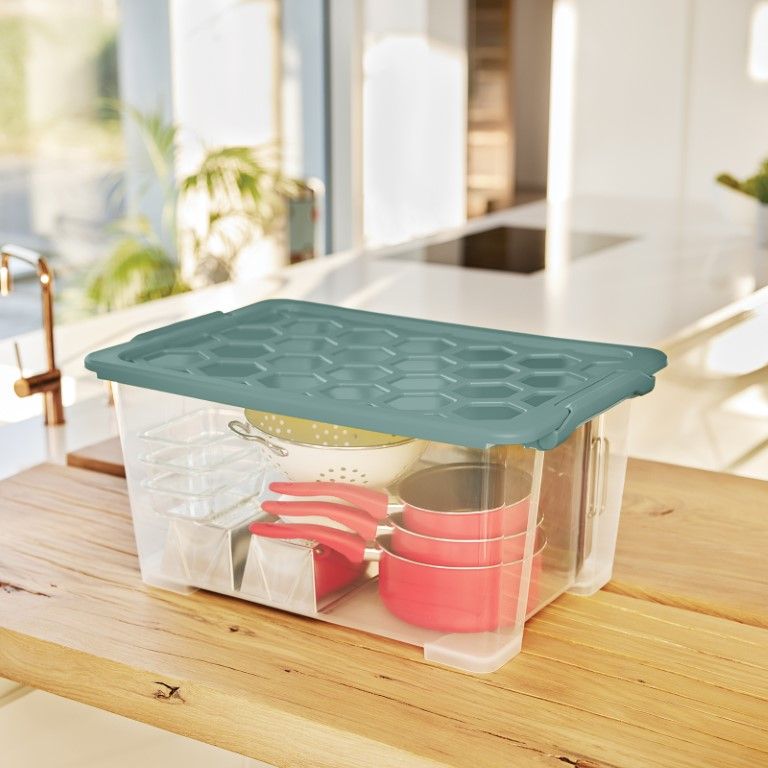 Rotho Box 44 l EVO SAFE