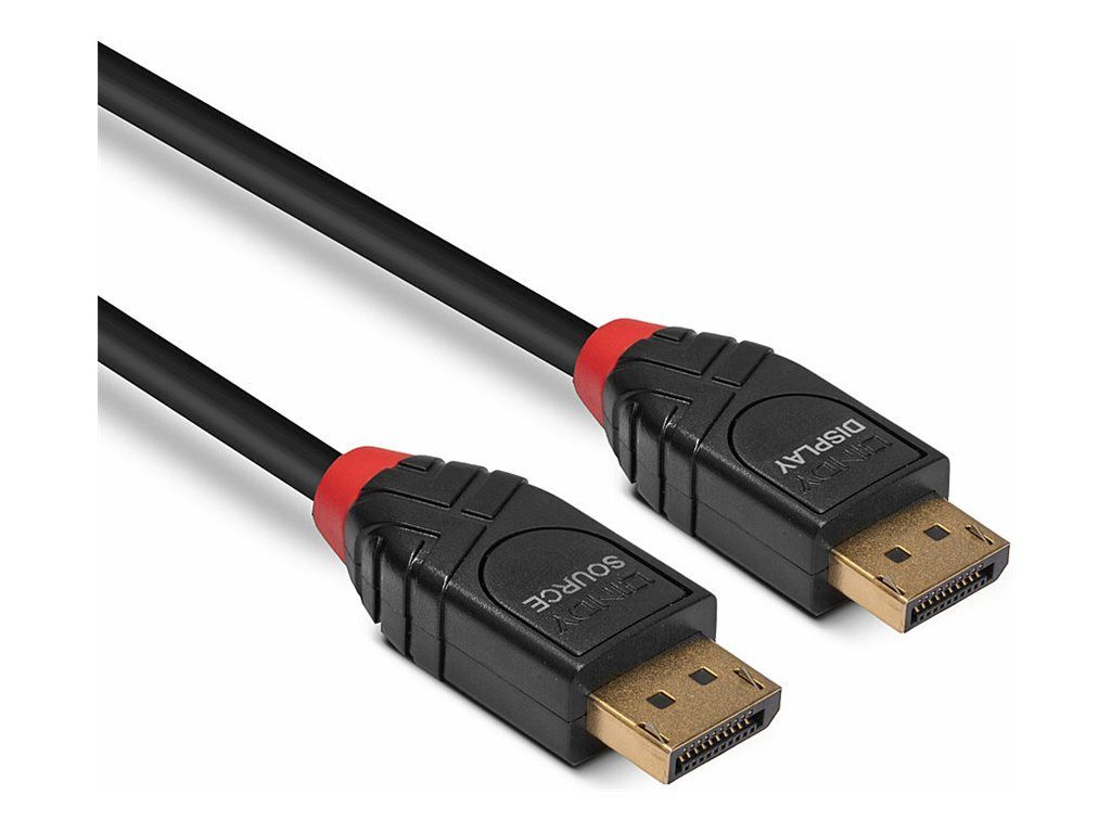 Lindy DisplayPort-Kabel - DisplayPort (M)