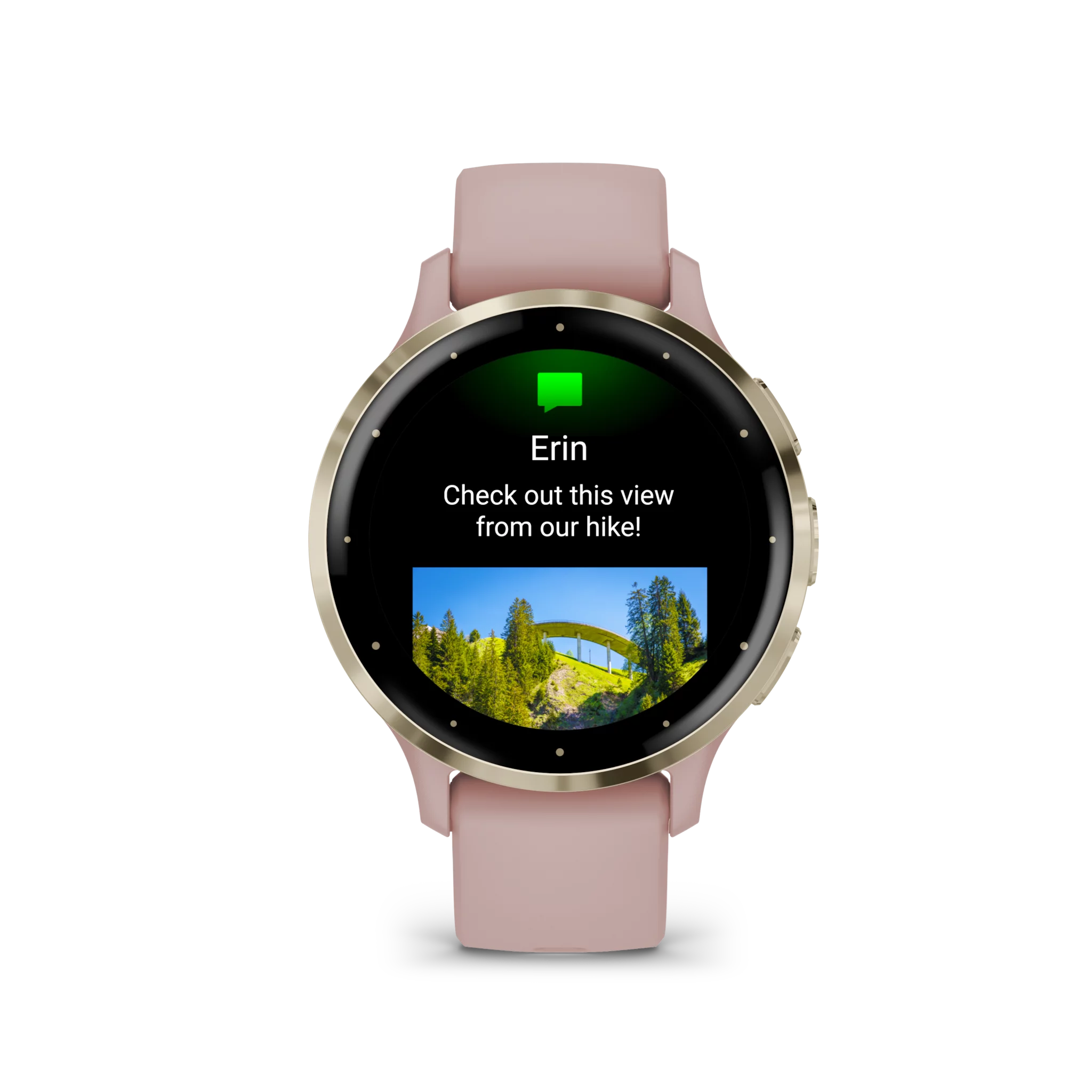 Garmin VENU 3S, Dust Rose/Softgold
