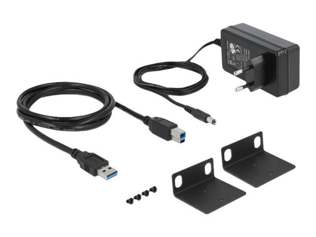 Delock Hub - 13 x USB 3.1 Gen 1 - an Rack montierbar