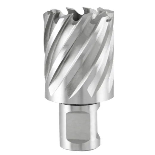 TERRAX by RUKO Kernbohrer HSS mit Weldonschaft (3/4") 30,0 mm