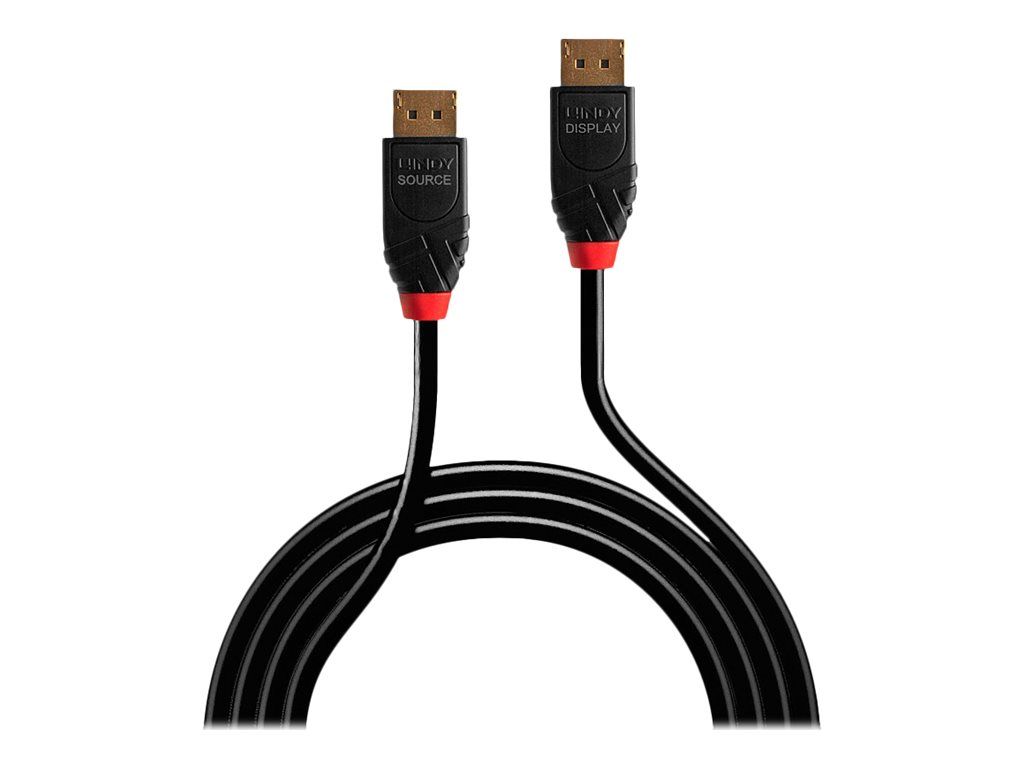 Lindy DisplayPort-Kabel - DisplayPort (M)