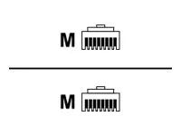 Rittal DK CMC III CAN-Bus connection cable - Netzwerkkabel - RJ-45 (M)