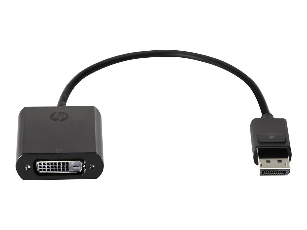 HP DVI-Kabel - DisplayPort (M) zu DVI-D (W)