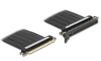 Delock Riser Card
