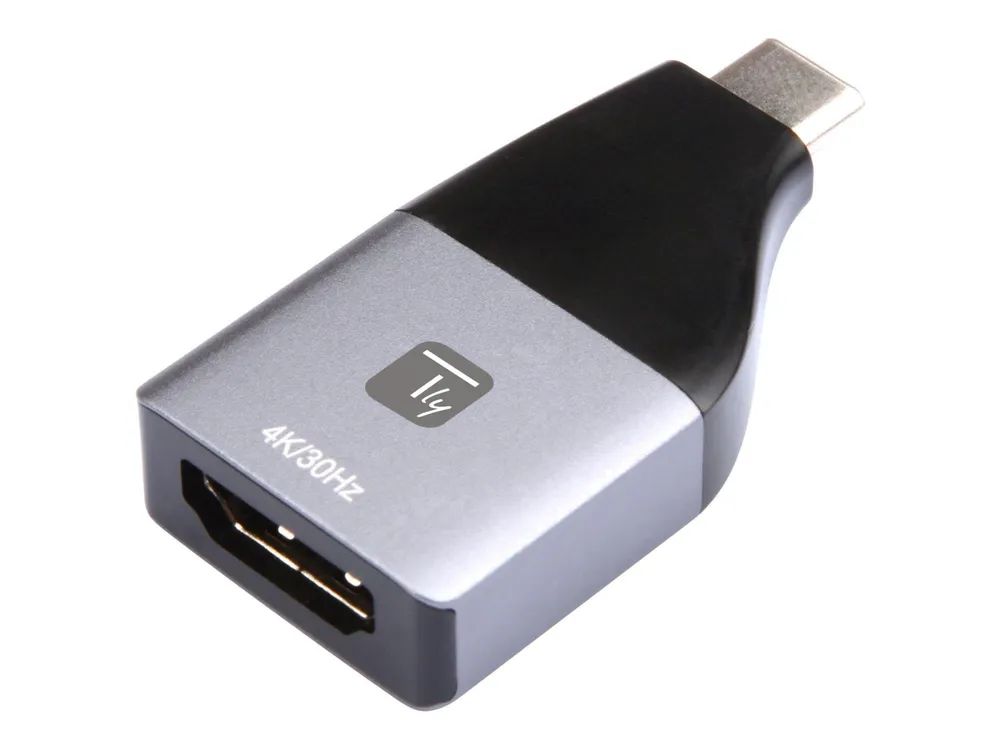 Techly Videoadapter - 24 pin USB-C männlich zu HDMI weiblich - Schwarz, Silber - unterstützt 4K 60 Hz (3840 x 2160)