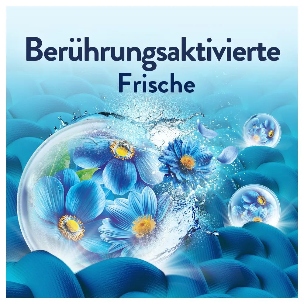 Lenor Küstenblumen & Zypresse Flasche - 798ml 