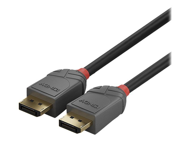 Lindy Anthra Line - DisplayPort-Kabel - DisplayPort (M)