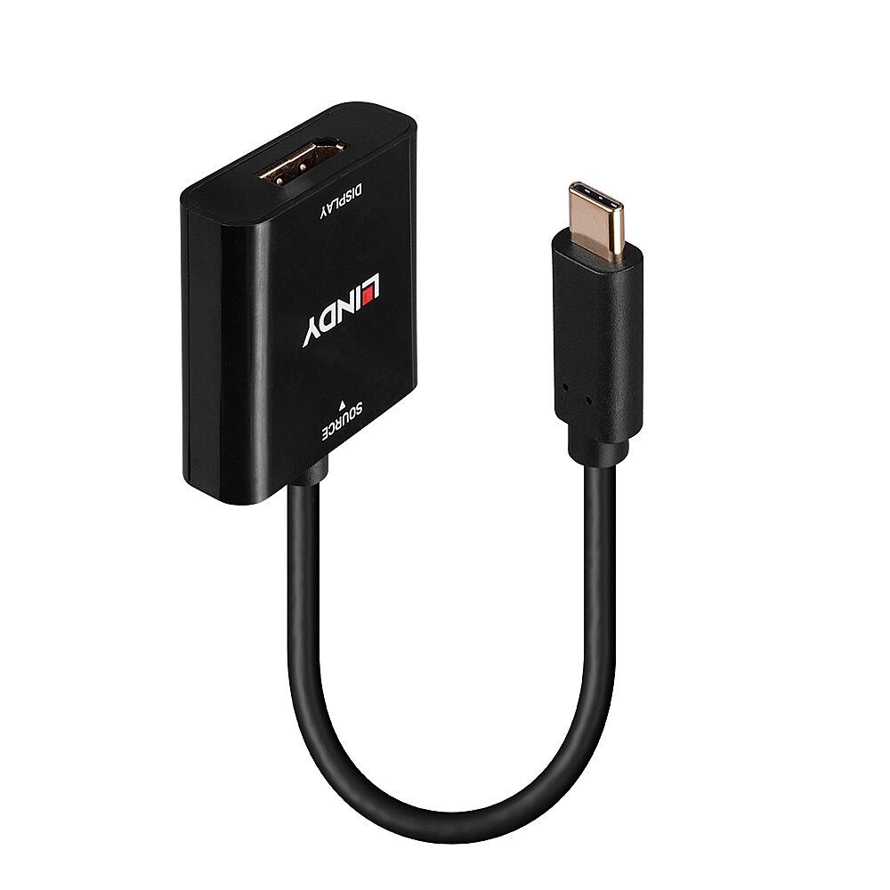 Lindy Videoadapter - 24 pin USB-C (M) zu DisplayPort (W)
