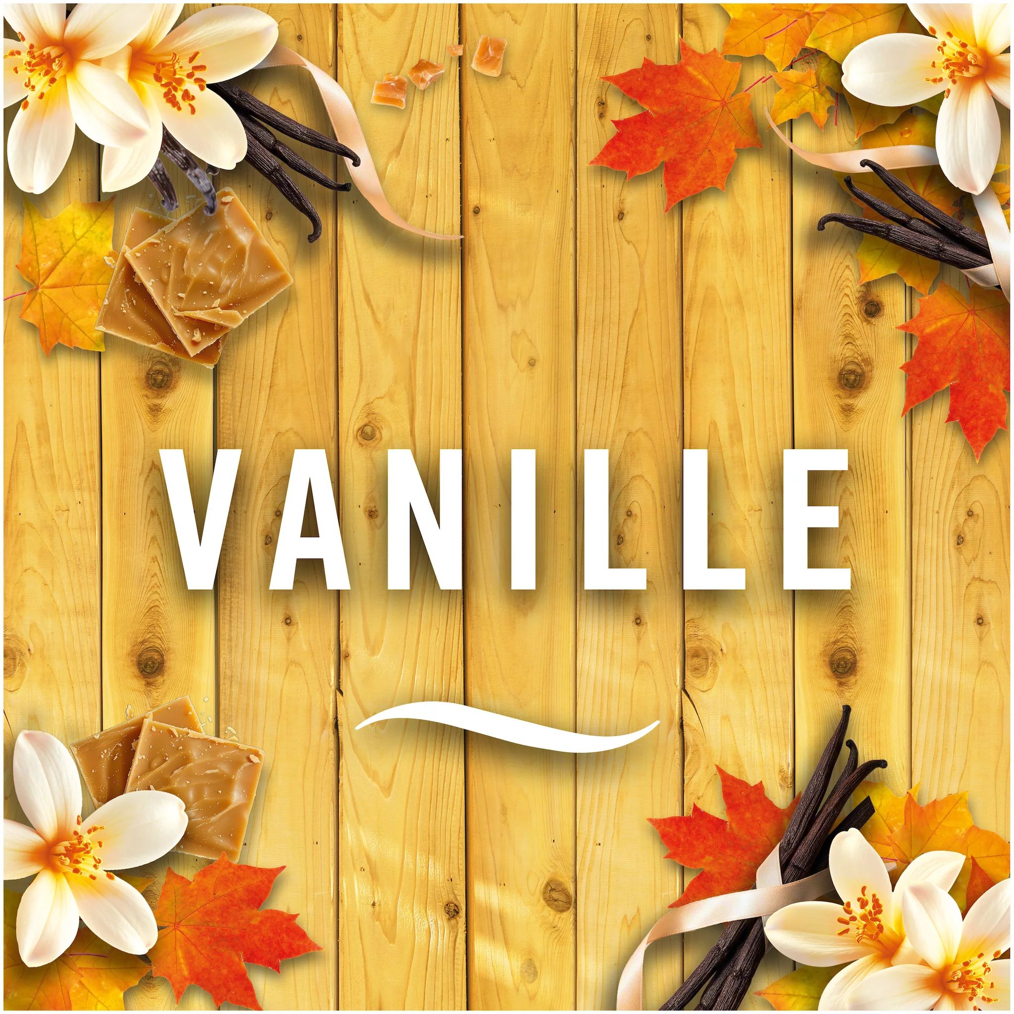 Febreze Vanille Duo 2x185 ml = 370ml