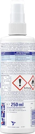Sagrotan Hygiene-Pumpspray 250ml
