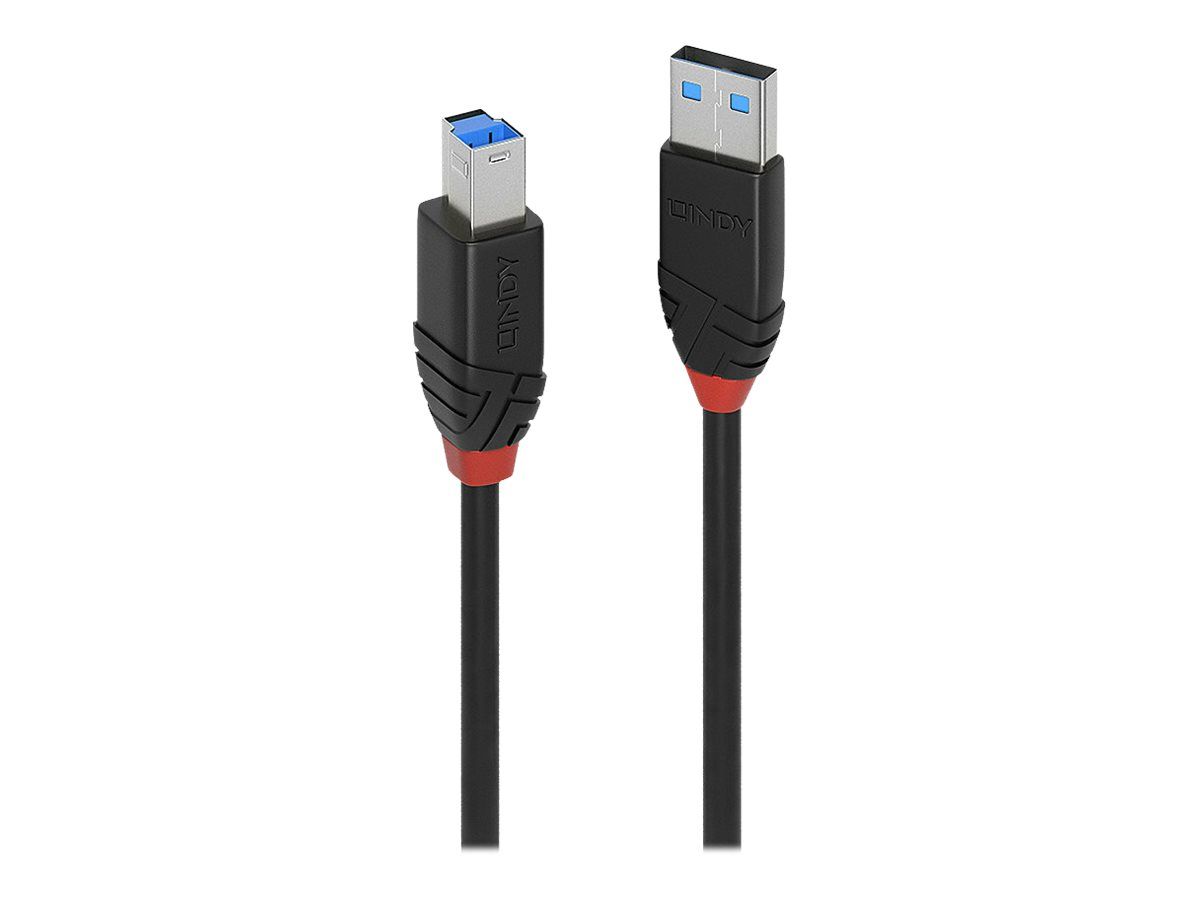 Lindy USB-Kabel - USB Typ A (M) zu USB Type B (M)