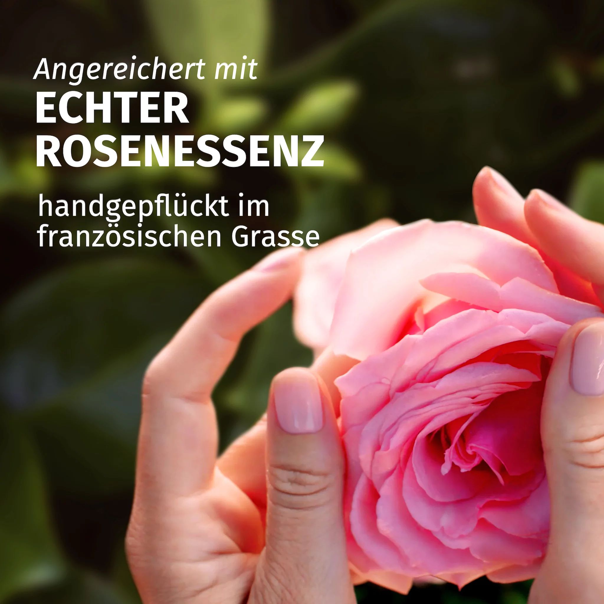 Herbal Essences Blütensanft Rose Pflegespülung