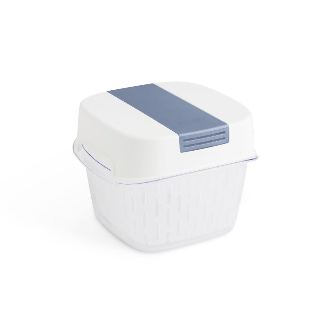 Rotho Dynamic Box 1,6 L FRESH