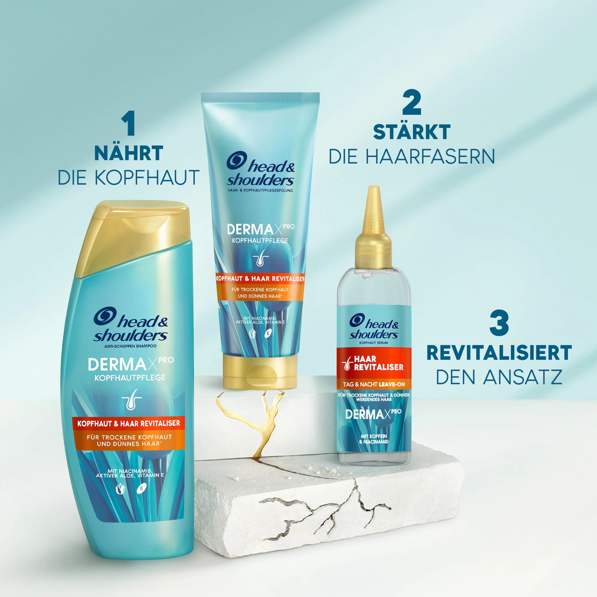 Head & Shoulders Derma x Pro Shampoo Revitalisierend