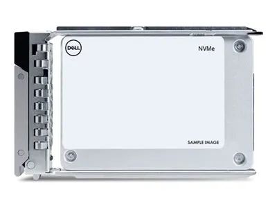 Dell Kunden-Kit - SSD - Rechenzentrum, Leseintensiv - 960 GB - mit Träger - 2.5" (6.4 cm)