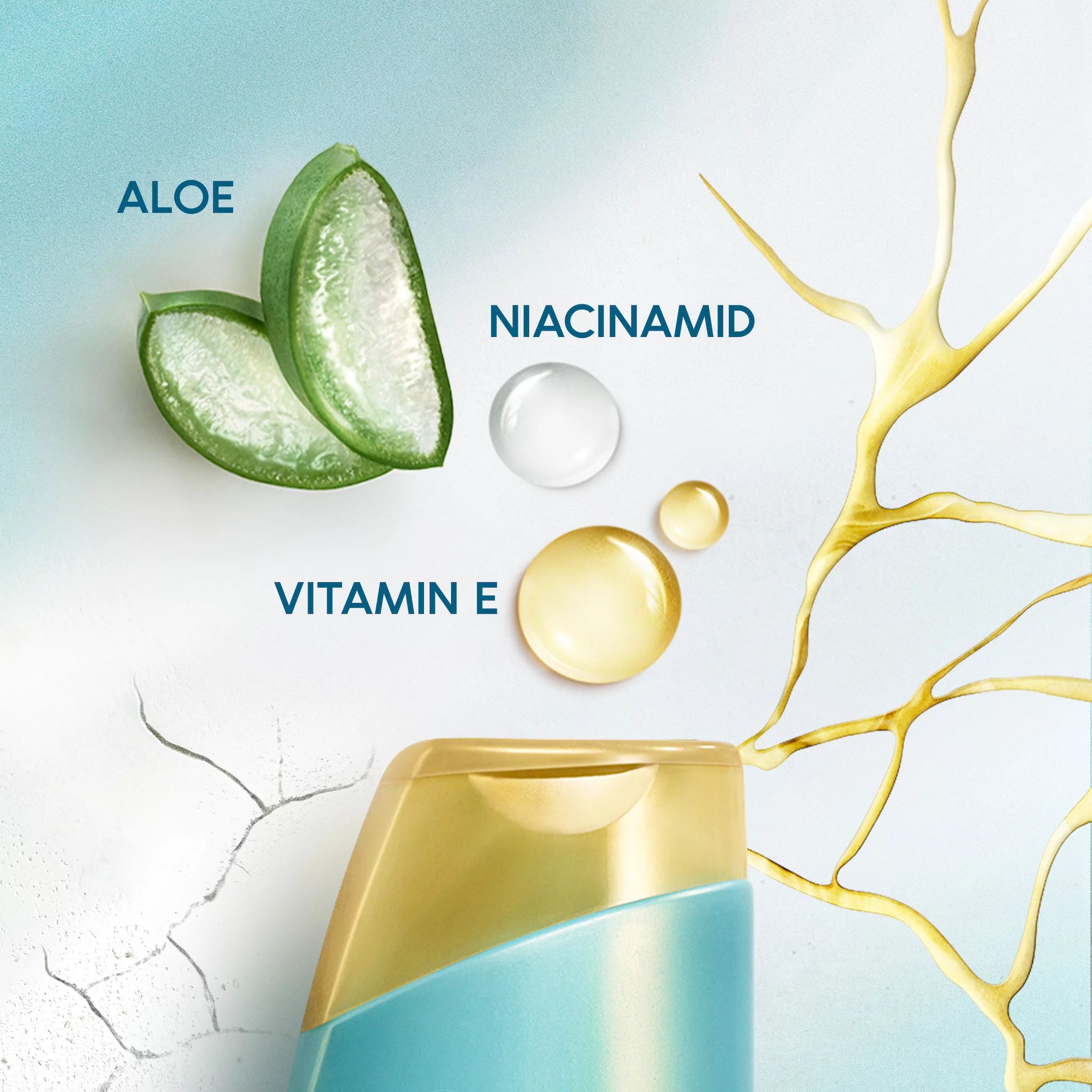Head & Shoulders Derma x Pro Shampoo Revitalisierend