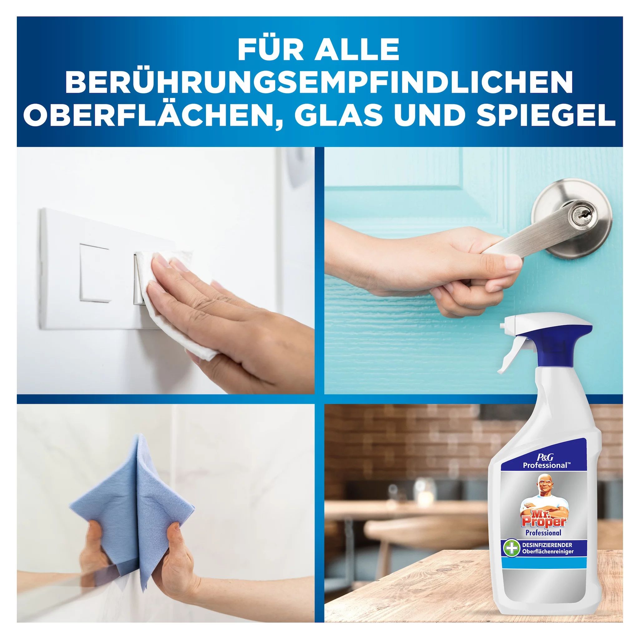 Mr. Proper Professional Desinfizierender Oberflächenreiniger