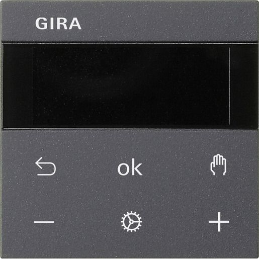 Gira S3000 RTR DISPLAY SYS55 ANTHR / GIRA SYSTEM 55 539328