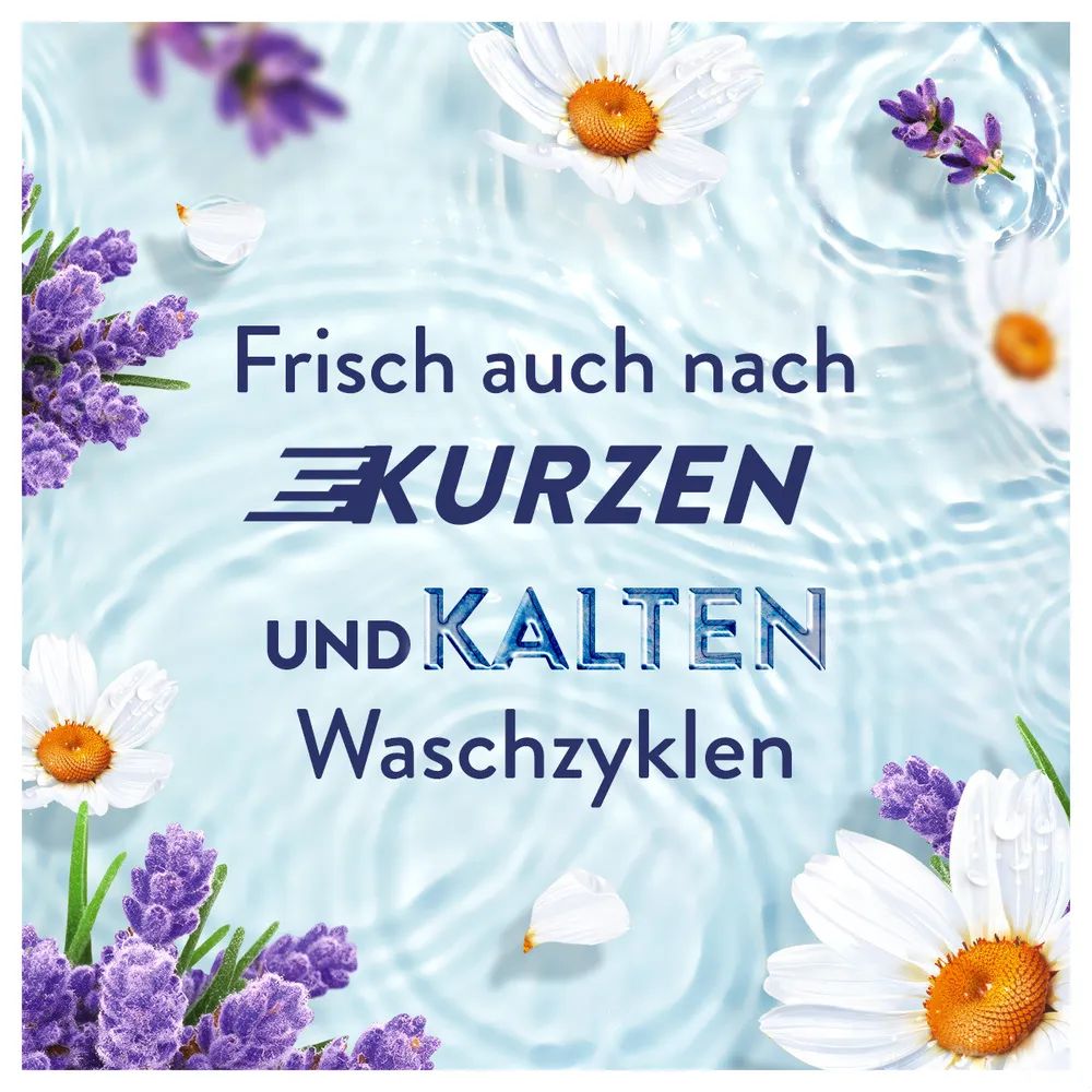 Lenor Ein Tag in der Provence Flasche - 1491ml