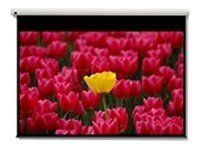Optoma Panoview DE-9120EGA - Leinwand - motorisiert - 305 cm (120")