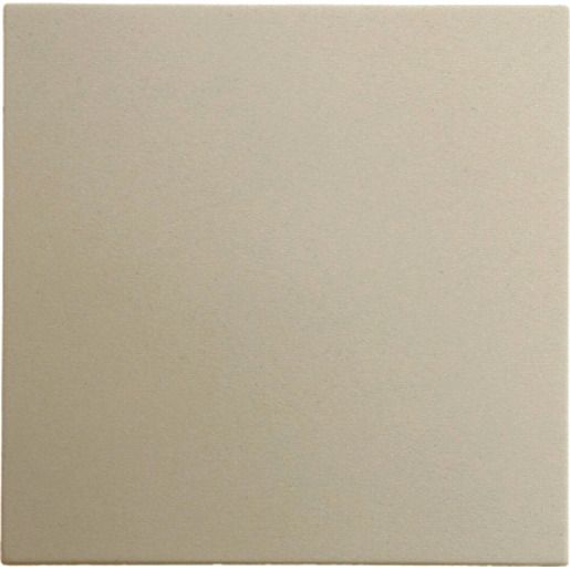 Berker WIPPE WS / BERKER 16208982 GLÄNZEND S1 16208982