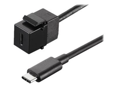 Bachmann USB 3.1 Type C Keystone Module - Modulare Eingabe