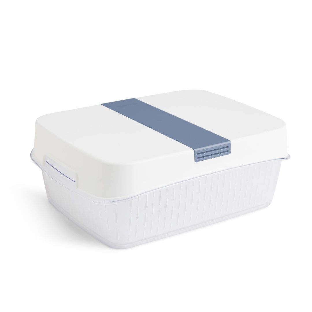 Rotho Dynamic Box 6,4 L FRESH