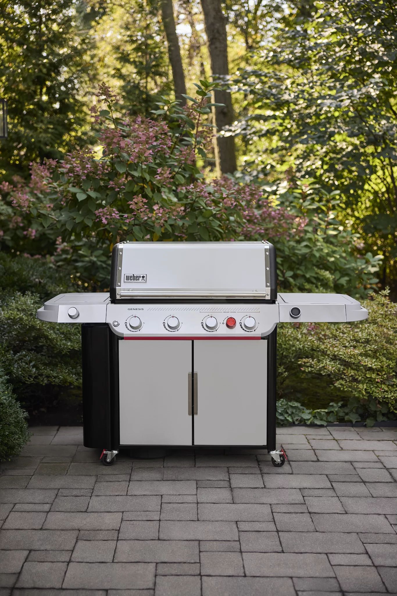 Weber GENESIS SP-435W GBS  