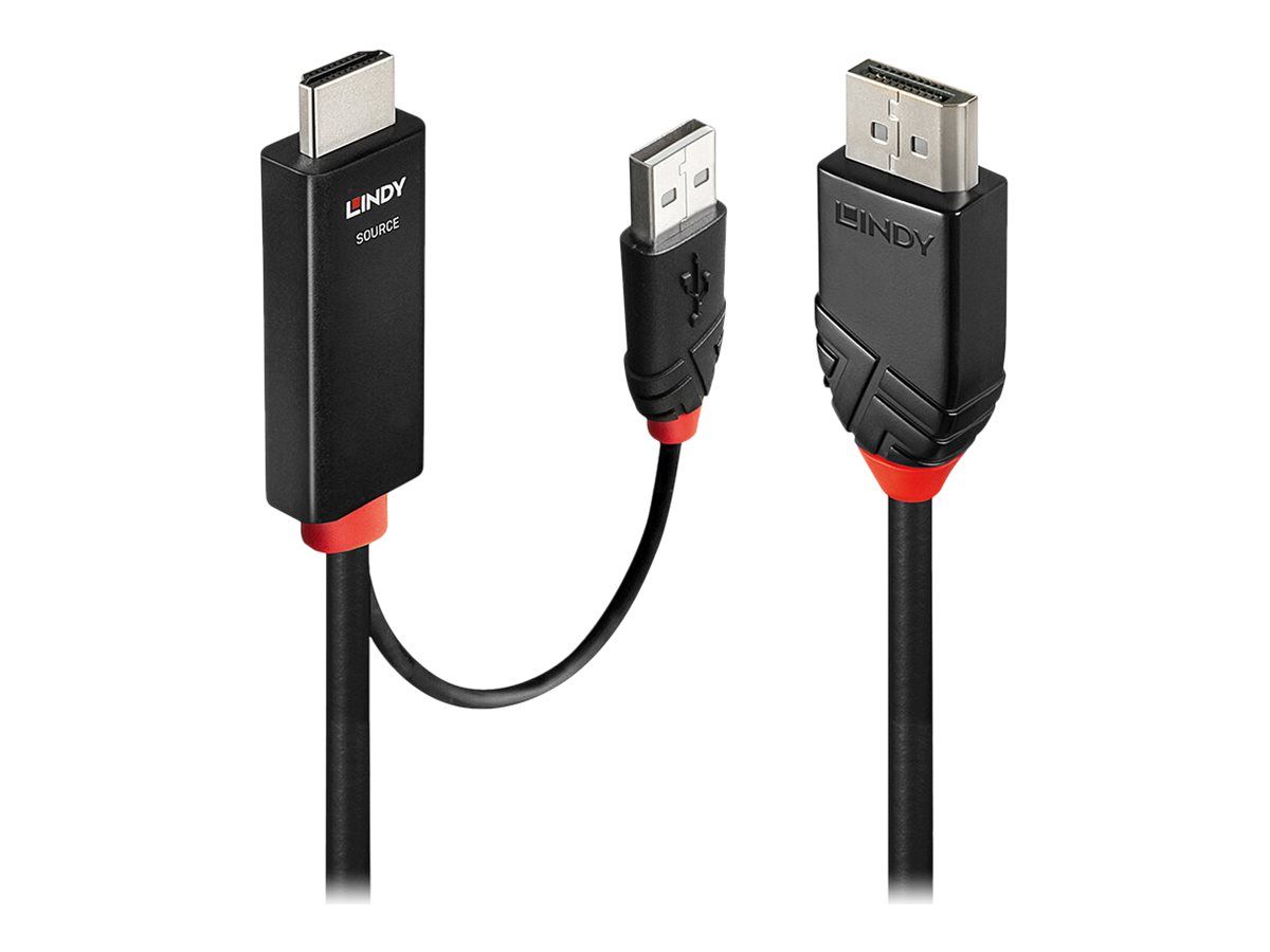 Lindy Adapterkabel - HDMI, USB männlich zu DisplayPort männlich