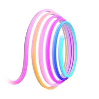 Govee H61D5 Neon Lights 5m| LED-Beleuchtung| Matter HomeKit Google Alexa