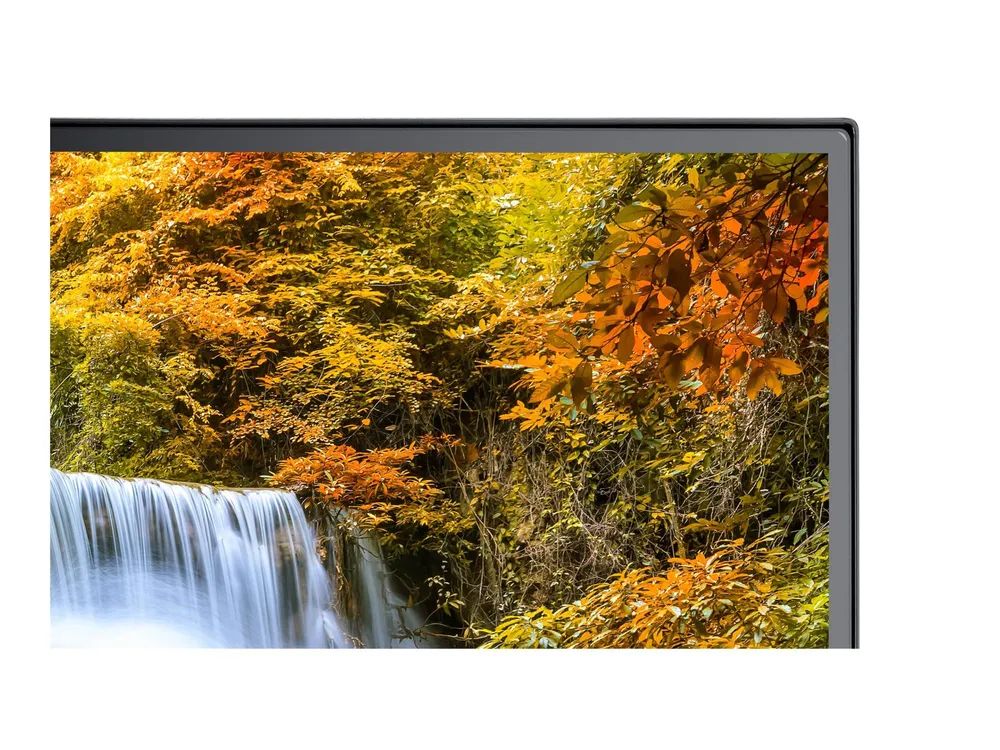 NEC Sharp MultiSync EA242F - LED-Monitor - 60.5 cm (23.8")