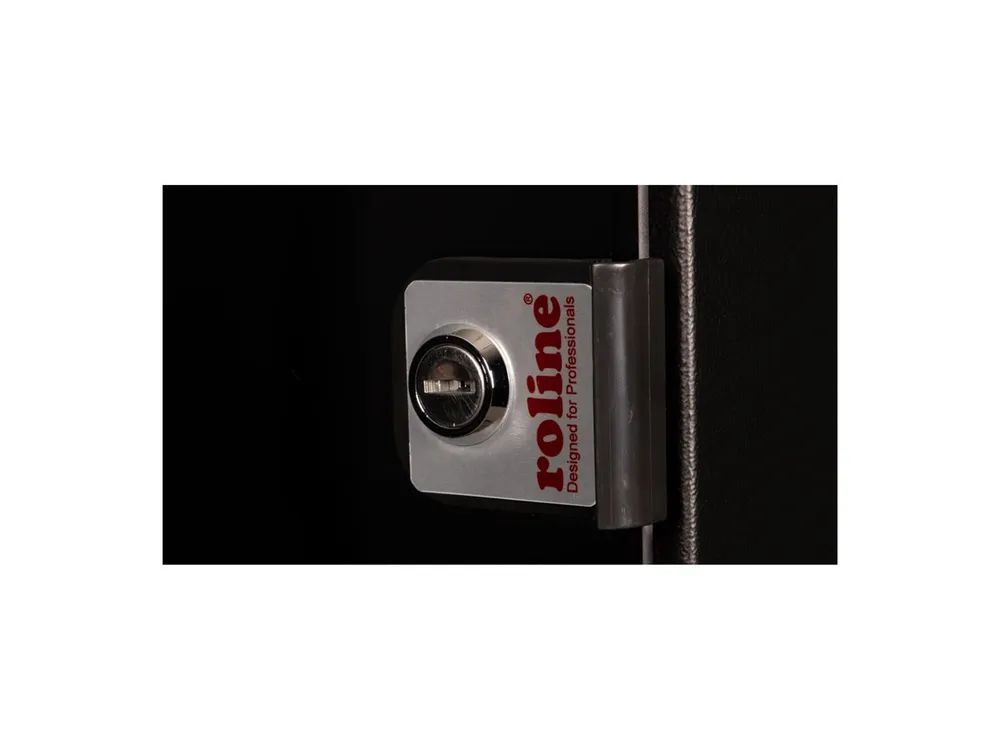 ROLINE Basic - Schrank Netzwerkschrank - 312 x 300 mm (B x T)