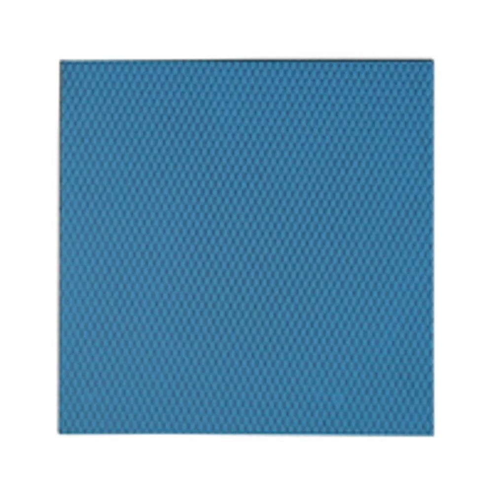Thermal Grizzly Minus Pad Basic - 100 x 1.0 mm 2 Stück