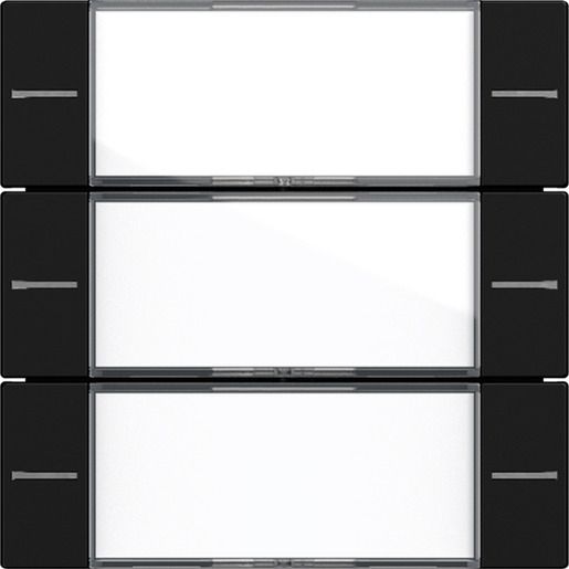 Gira WIPPENS.3F BSF TASTS.4 KLAR/SW / GIRA 5773005 SYSTEM 55 5773005
