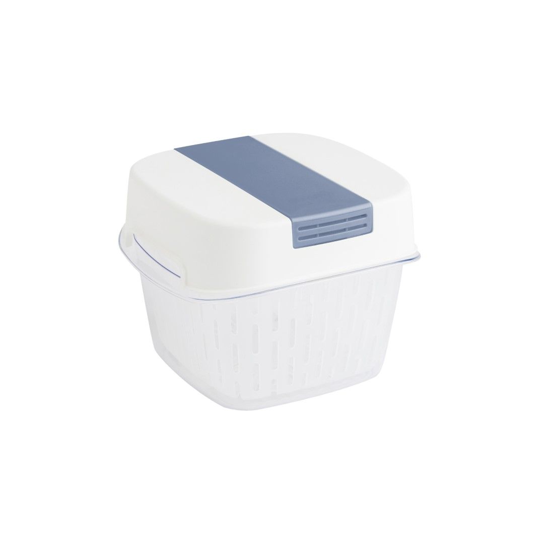 Rotho Dynamic Box 1,6 L FRESH