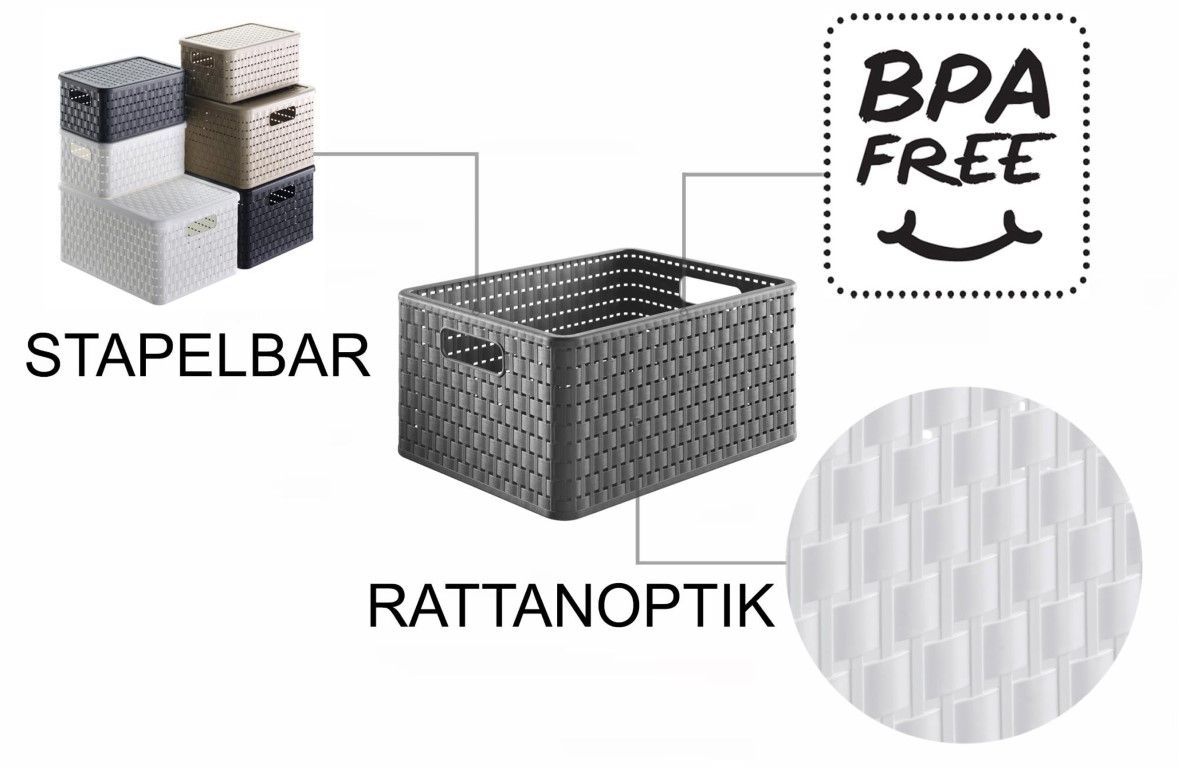 Rotho Korb A4, 18 l COUNTRY