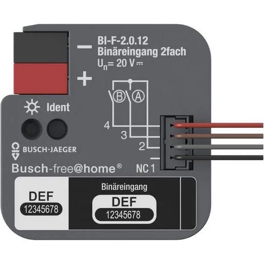 ABB BINÄREINGANG 2-FACH FM / ABB BI-F-2.0.12 2CDG510023R0021