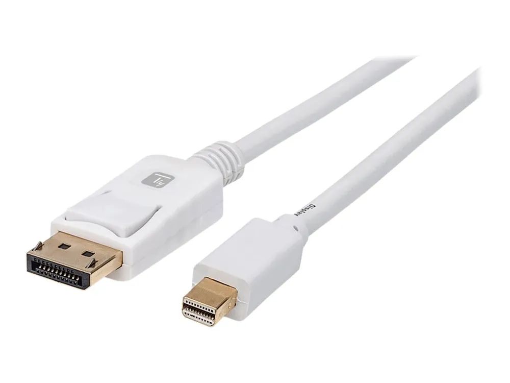 Techly DisplayPort-Kabel - Mini DisplayPort (M)