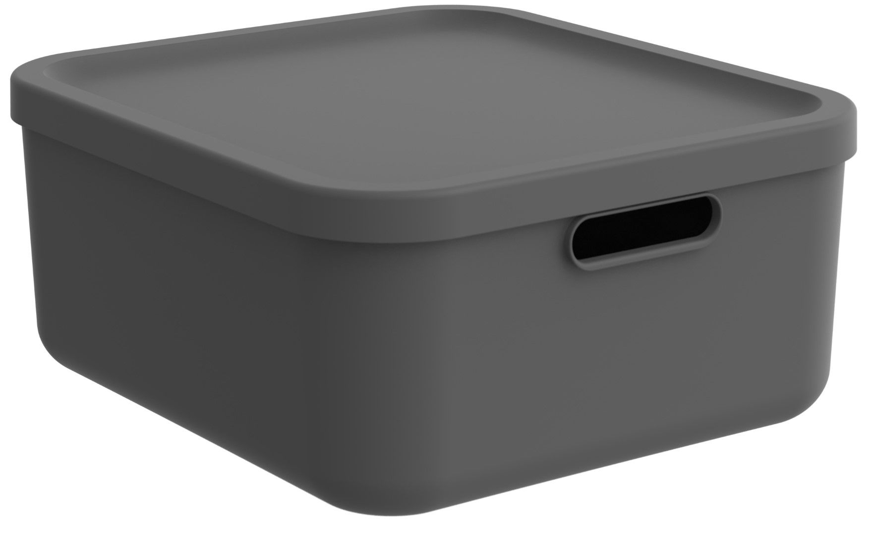 Rotho Box 20 l ALBULA LIGHT