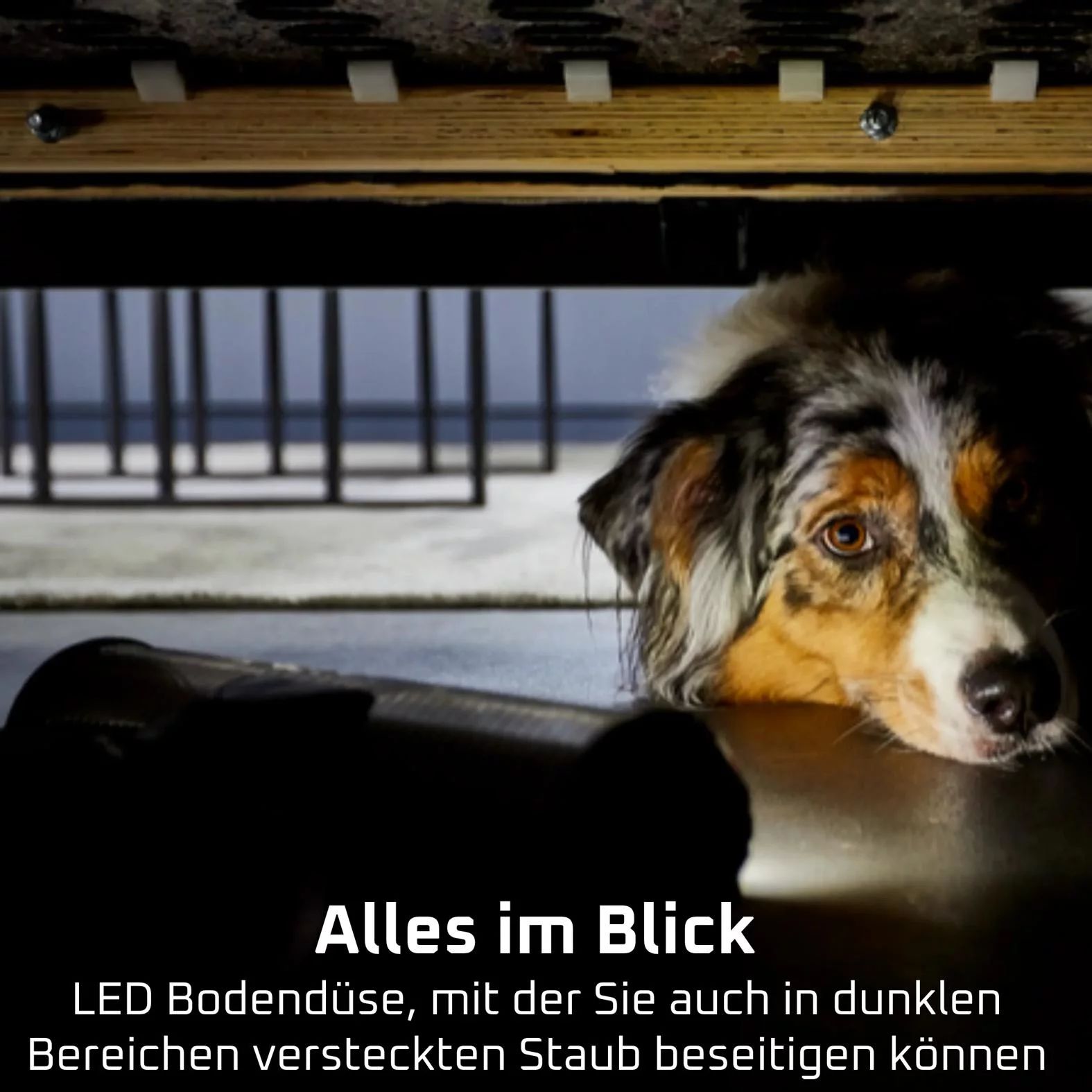 Rowenta RH9A36 Akku-Staubsauger X-Force Flex 13.60 Allergy