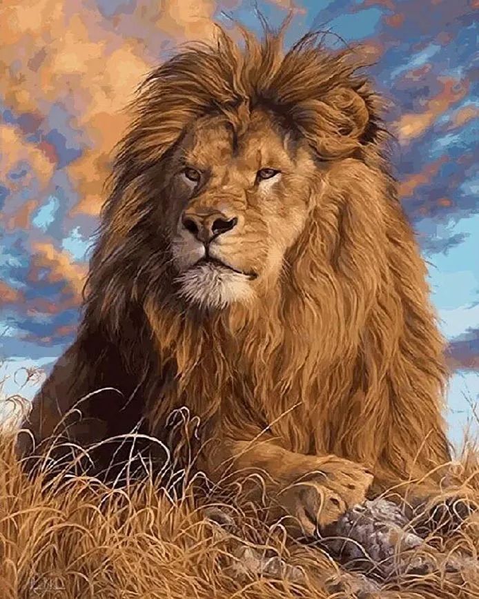 Pracht Creatives Hobby GmbH Diamond Painting Löwe 40x30 cm