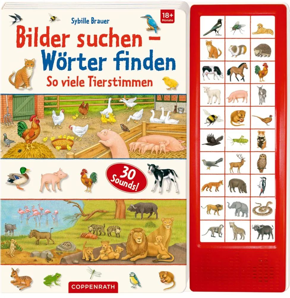 Coppenrath Verlag GmbH & Co.KG Bilder suchen-Wörter finden: So viele Ti