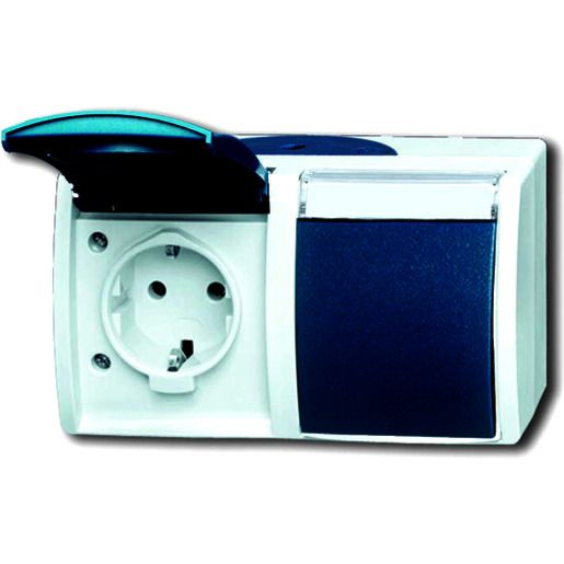 Busch-Jaeger AP D-STD+BESCH.FELD / BUSCH 20/2 EWN-53 2CKA002084A0703