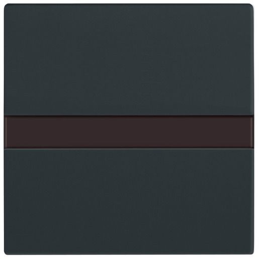 Busch-Jaeger FU KOMFORTSCHALTER FLEX SENS. / BUSCH 64765-81 2CKA006800A2882
