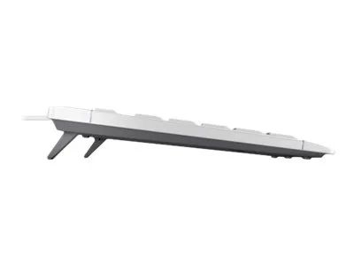 Cherry STREAM KEYBOARD TKL - Tastatur - USB