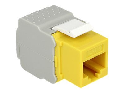 Delock Keystone module - Modulare Eingabe - RJ-45