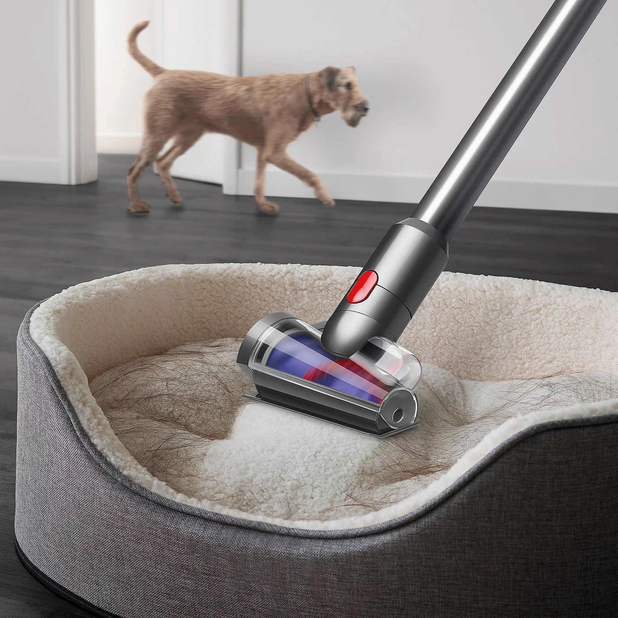 Dyson SV47 V15 Detect , Fluffy, Blau/ Nickel